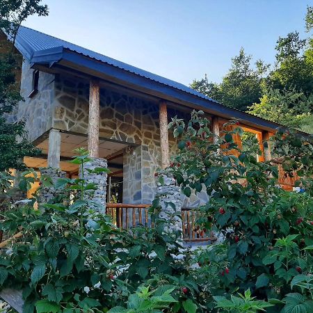 Fern Farm Eco Studio Apartment Mojkovac Exterior foto