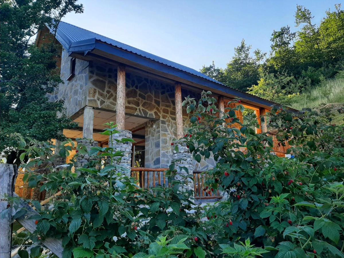 Fern Farm Eco Studio Apartment Mojkovac Exterior foto