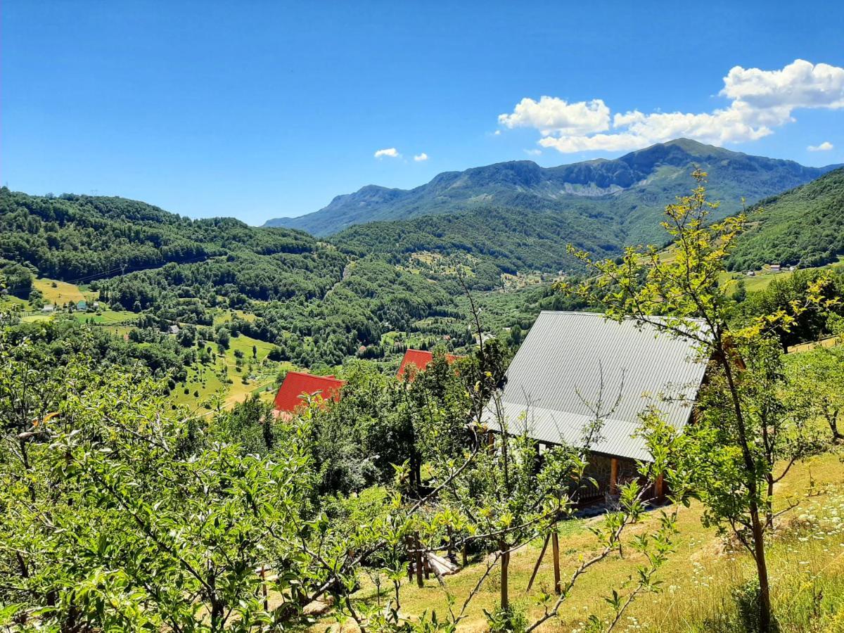 Fern Farm Eco Studio Apartment Mojkovac Exterior foto
